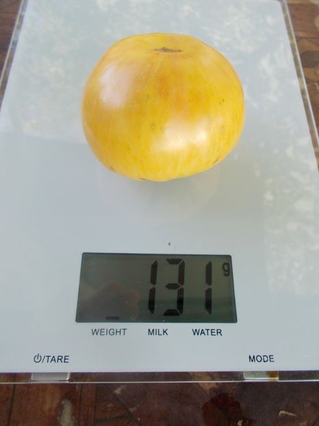  - SEMINTE ROSII - T 873 WHITE FURRY BOAR