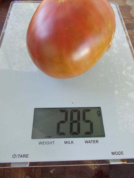  - SEMINTE ROSII - T 830 COOPER RIVER