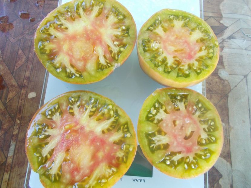  - SEMINTE ROSII - T 830 COOPER RIVER