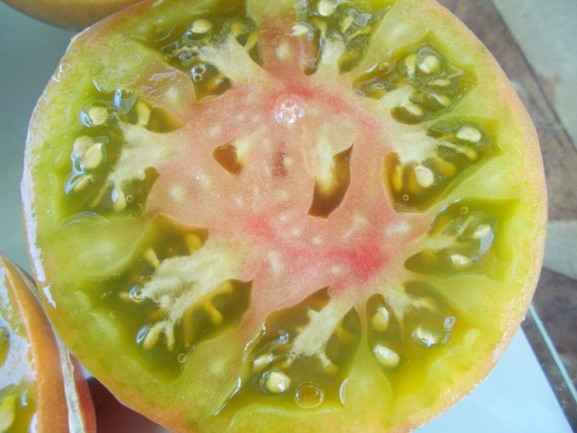  - SEMINTE ROSII - T 830 COOPER RIVER