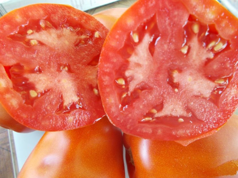  - SEMINTE ROSII - GIANT PEAR