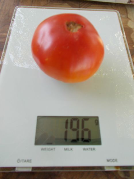  - SEMINTE ROSII - T 977 AWESOME - det