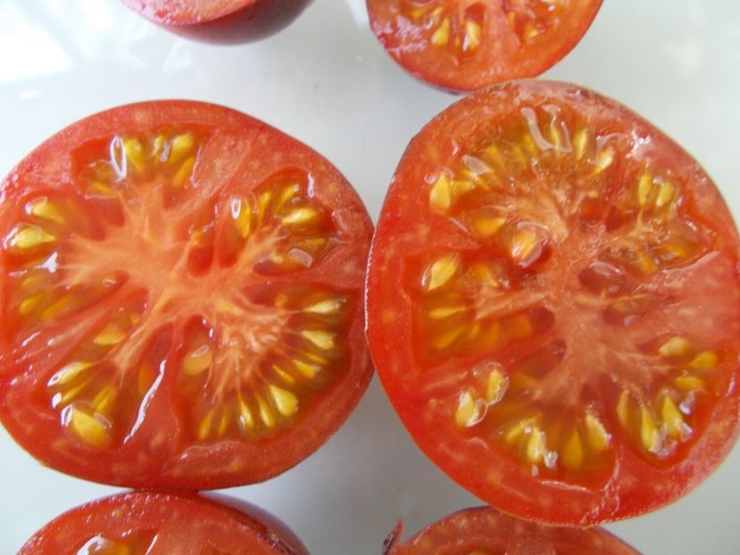  - SEMINTE ROSII - T 834 BLUE PIT S