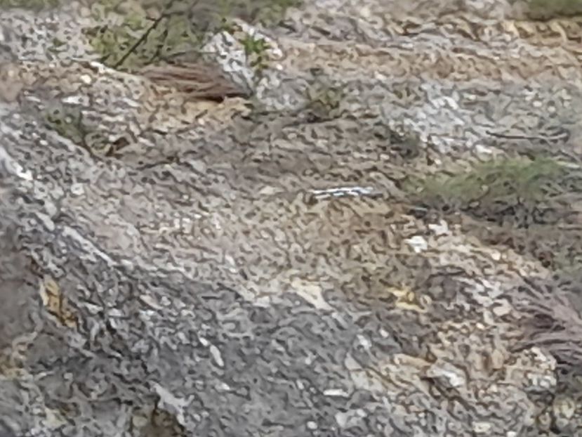  - Concediu cu tătă 2022