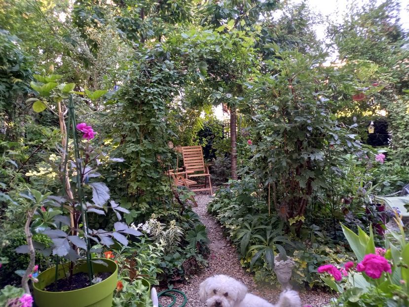  - Grădina 2022 continuare 2