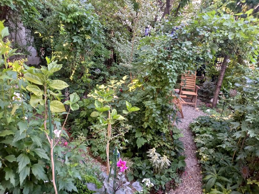  - Grădina 2022 continuare 2