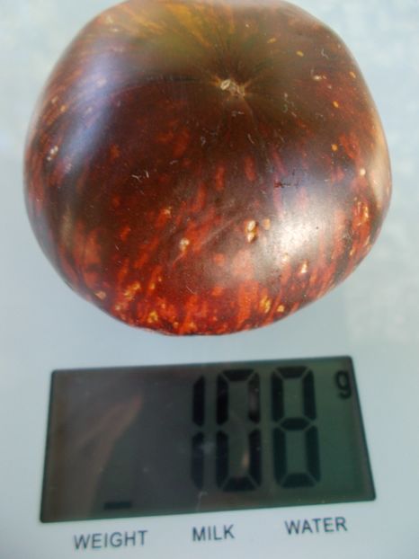  - SEMINTE ROSII - T 968 POMME D OR DE SAINT-JEAN-DE-BEAUREGARD