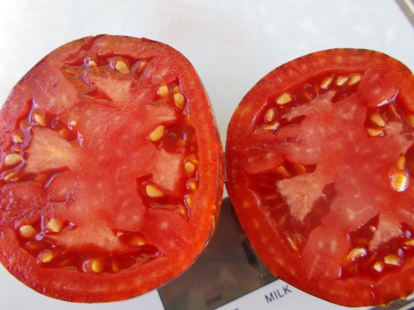  - SEMINTE ROSII - T 968 POMME D OR DE SAINT-JEAN-DE-BEAUREGARD