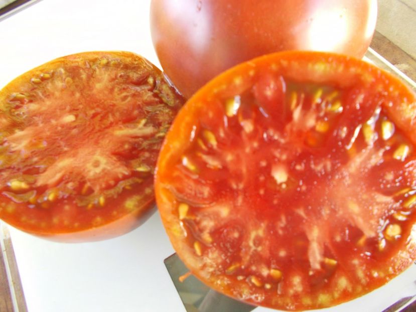  - SEMINTE ROSII - T 893 BLACK SMILE