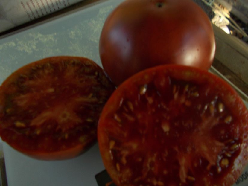  - SEMINTE ROSII - T 893 BLACK SMILE