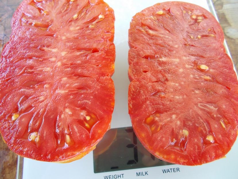  - SEMINTE ROSII - T 930 CANESTRINO DI LUCCA