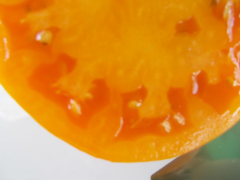  - SEMINTE ROSII - T 883 TATIANA S HEART