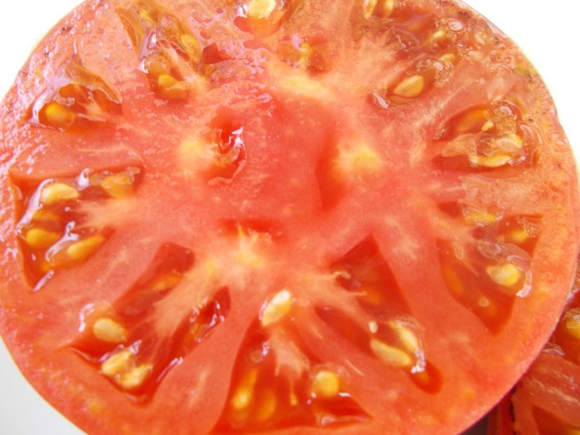  - SEMINTE ROSII - T 941 MAR AZUL