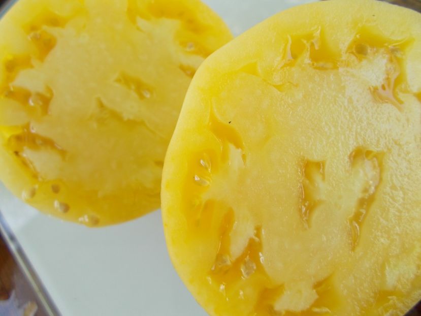  - SEMINTE ROSII - T 978 HOMER FIKE S YELLOW OXHEART