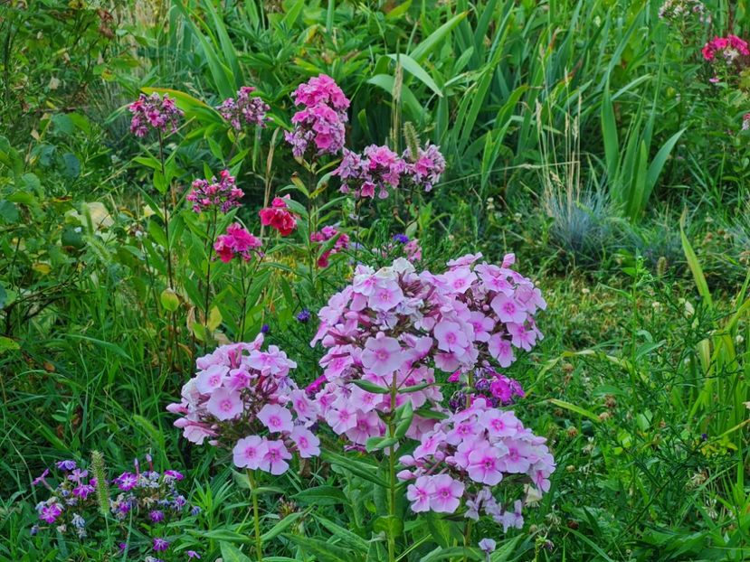 Narwiansky - 2022_Iulie_August