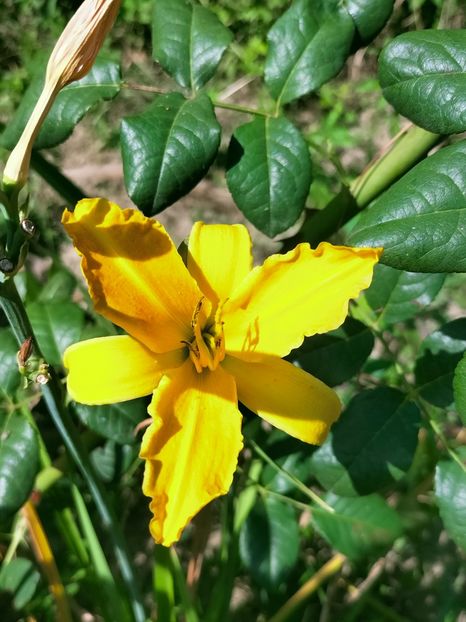 IMG20220723104314 - Iulie 2022