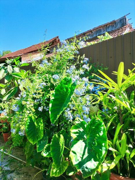 IMG20220721113138 - Iulie 2022