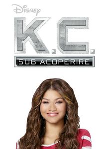 10371708_1735518180067719_6050343445939326296_n-1 - serialele mele adorate preferate