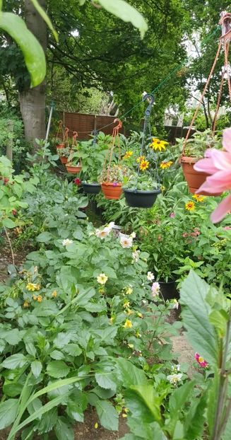 received_2126678560826180 - 0 Gradina 2022