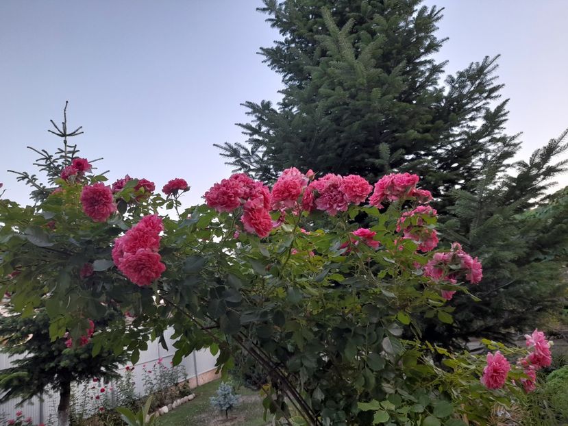  - 111 Bucurii pentru suflet 2022