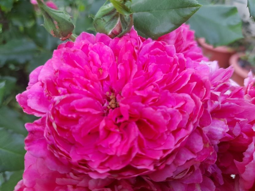  - 111 Bucurii pentru suflet 2022