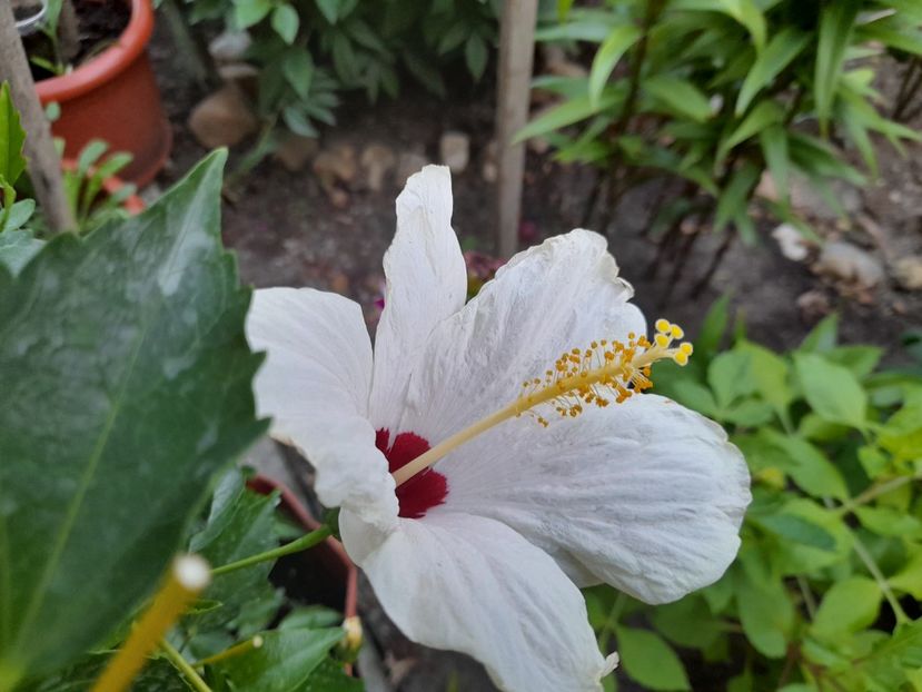  - 111 Bucurii pentru suflet 2022