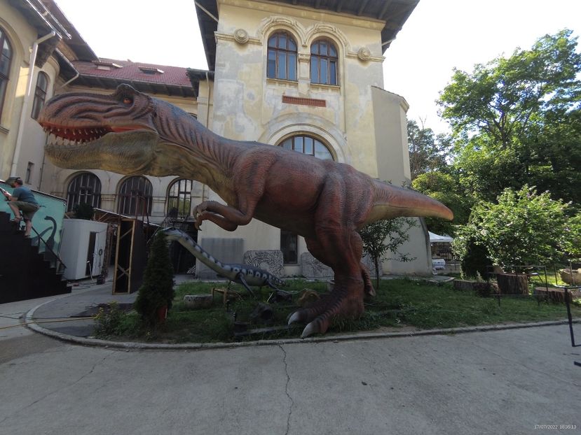 4C3A5C90-AB0F-498E-BA7A-5FACDF9007C6 - 17 Iulie 2022