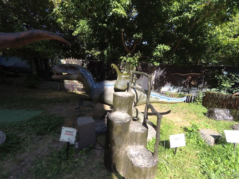 402632A9-90E8-43FD-B07C-BD0EA8E73886 - 17 Iulie 2022