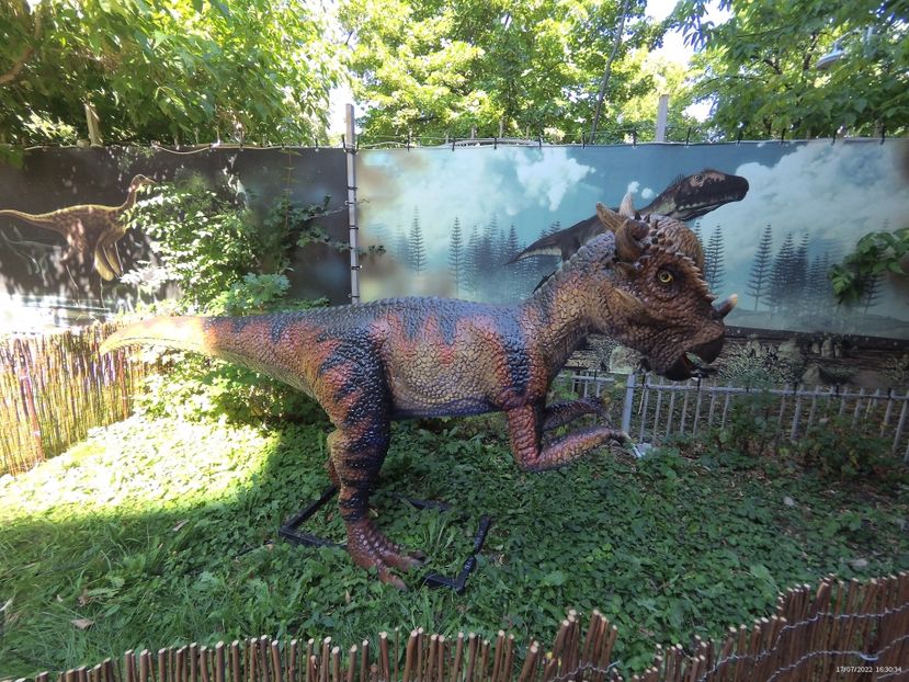 A0D26391-096A-4F47-841C-A8E2088B7BAB - 17 Iulie 2022