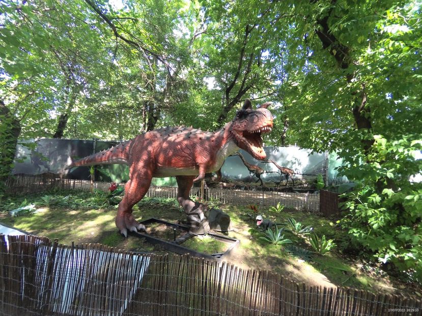 B66A76A0-2620-4FD7-B584-C75296CF88F5 - 17 Iulie 2022