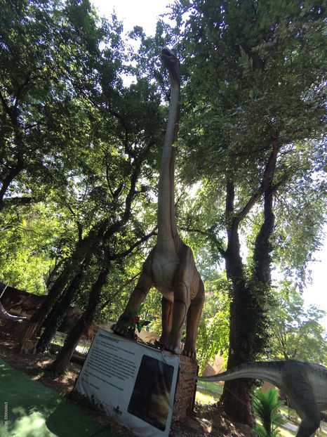 51A1495F-04B1-4430-915D-A803D971CE8B - 17 Iulie 2022