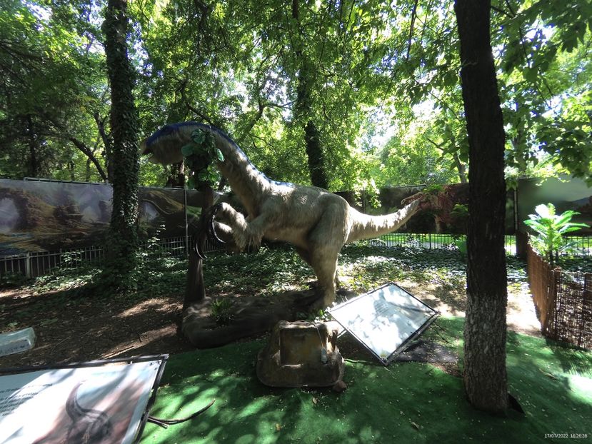 D6B5ADD9-38D6-47CB-BC57-2BCCE21318CA - 17 Iulie 2022