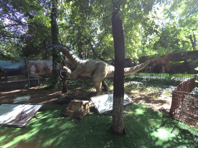 01599BC2-41DA-4434-B76E-C74ADC0A20E7 - 17 Iulie 2022