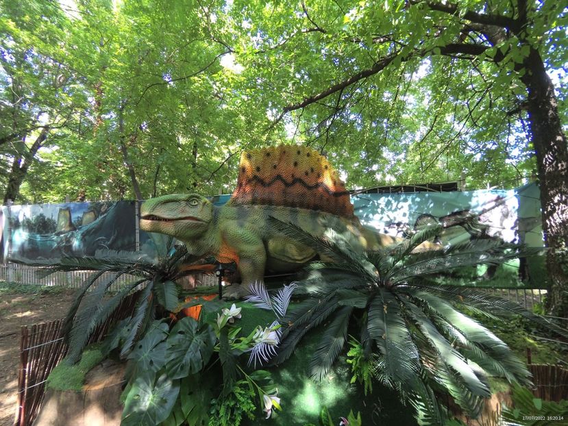 62346202-8D31-41F3-889A-FEB570FC1BAF - 17 Iulie 2022