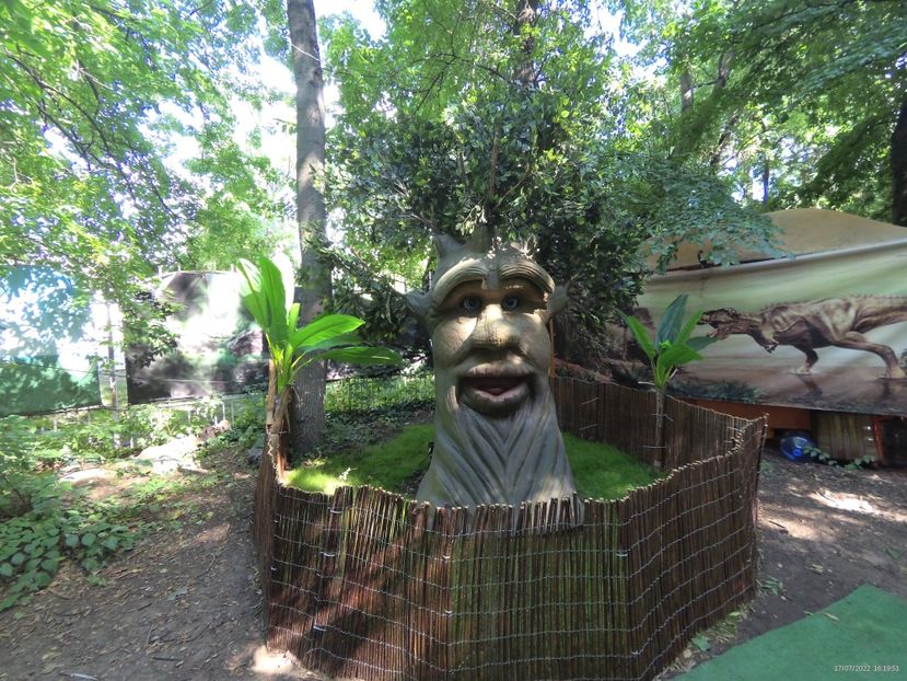 D8D28ECD-623E-445F-B03F-D8E04147C003 - 17 Iulie 2022