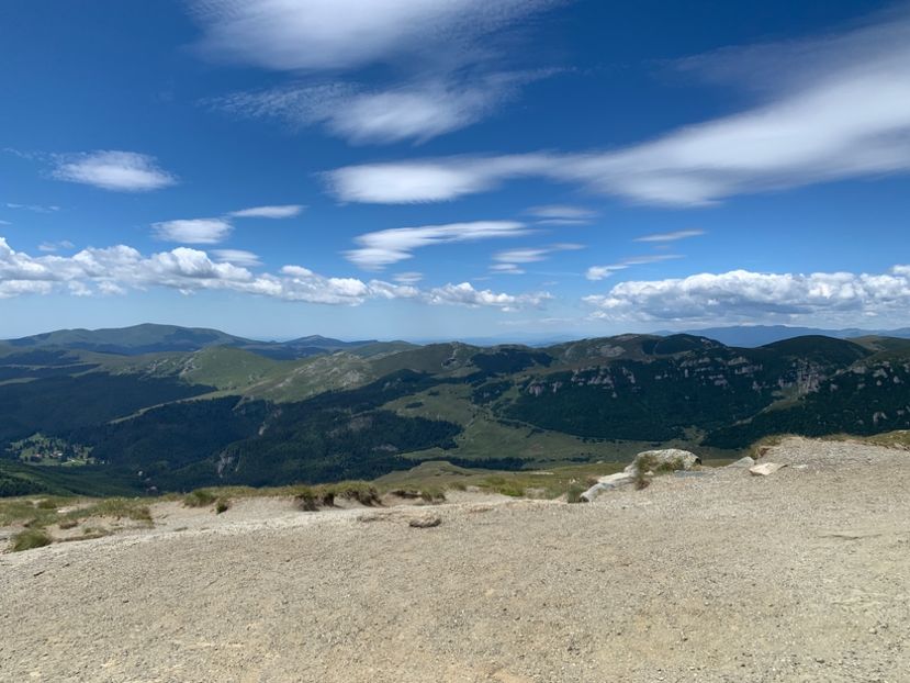 DBC39E1F-F9F9-413F-9398-00D143DACDDB - 14 Iulie 2022