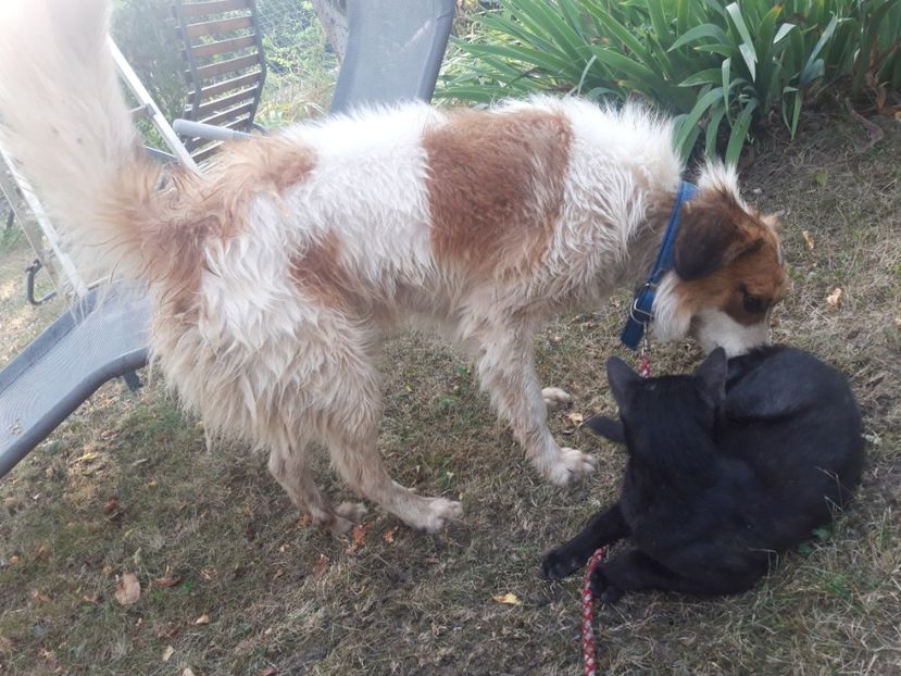  - RIP Athos
