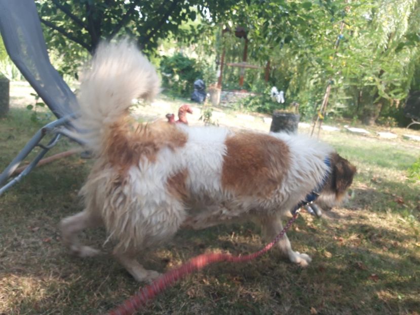  - RIP Athos