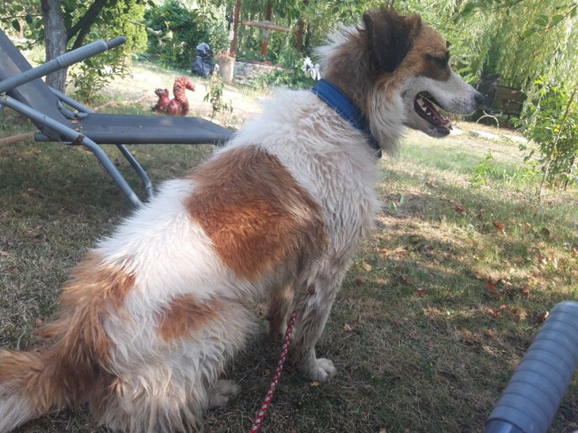  - RIP Athos