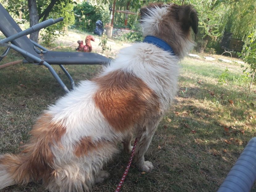  - RIP Athos