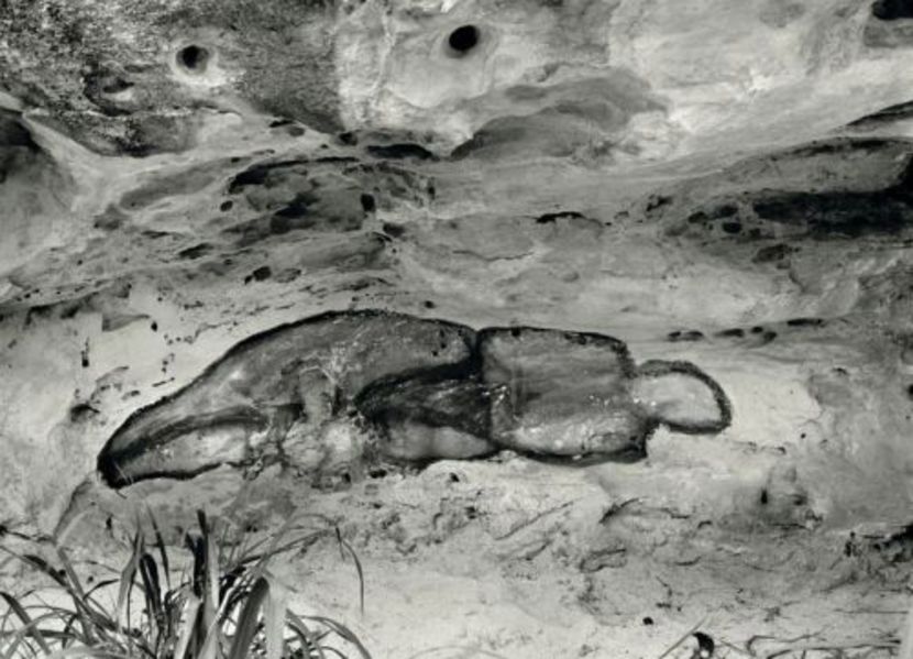 Ana Mendieta, La Vnus NegrA. - Collection of Tintypes