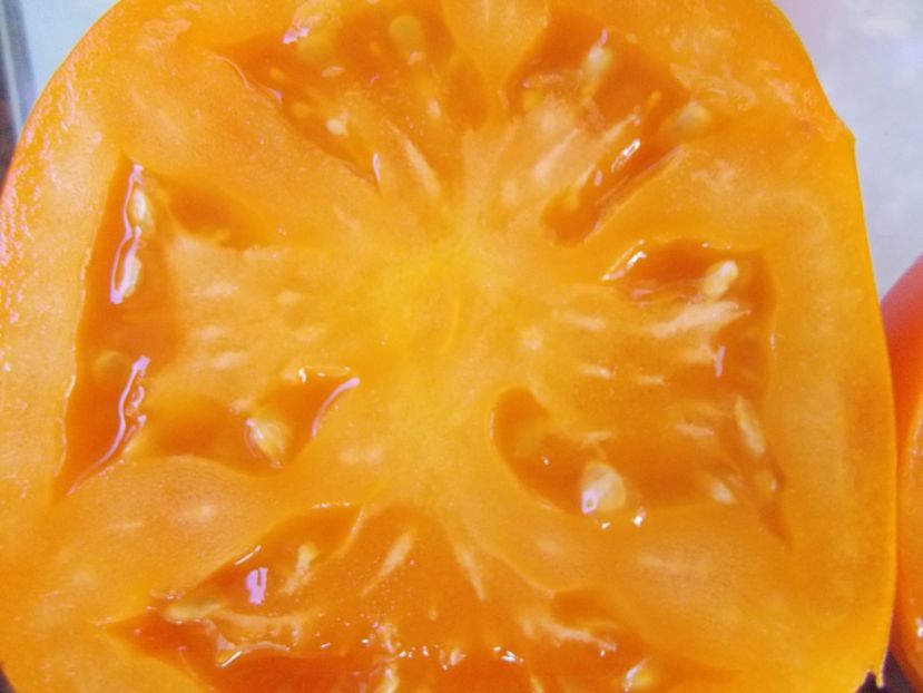  - SEMINTE ROSII - T 812 QUEEN MARBENA