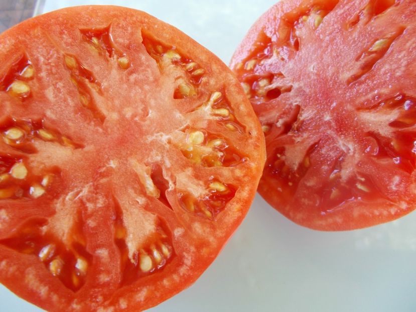  - SEMINTE ROSII - T 922 IVANUSHKA HEART