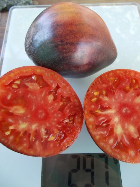  - SEMINTE ROSII - T 868 JUNIOR SERGEANT