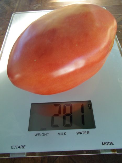  - SEMINTE ROSII - T 910 GENERAL KORNILOV