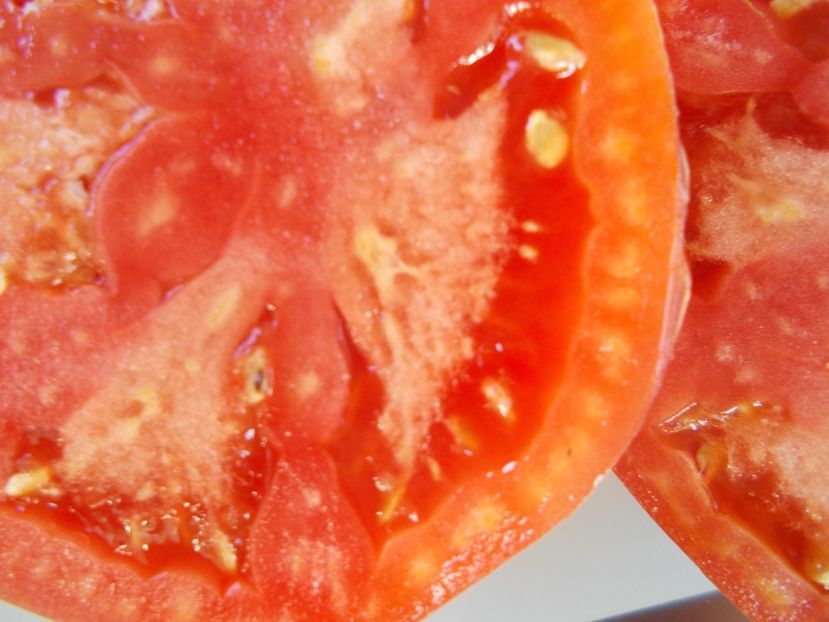  - SEMINTE ROSII - T 910 GENERAL KORNILOV