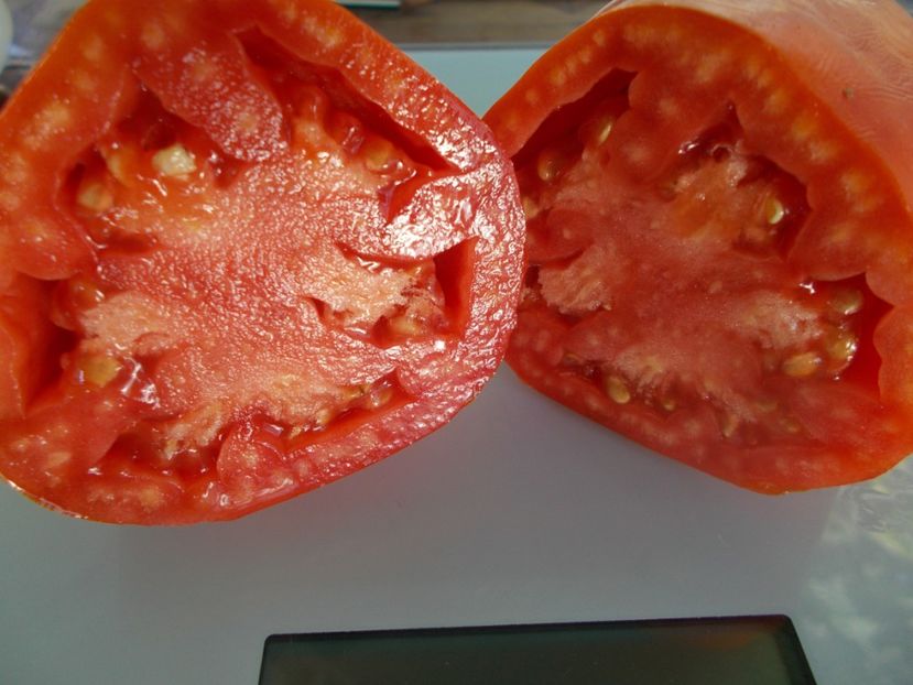  - SEMINTE ROSII - T 849 ABBATTISTA PASTE - 487