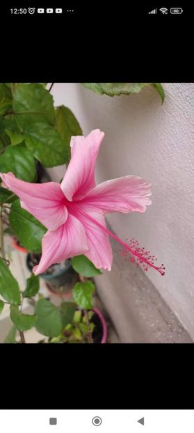 Screenshot_2022-07-15-12-50-00-261_com.facebook.orca - 2022-2