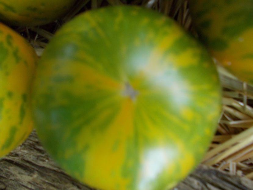  - SEMINTE ROSII - GREEN ZEBRA