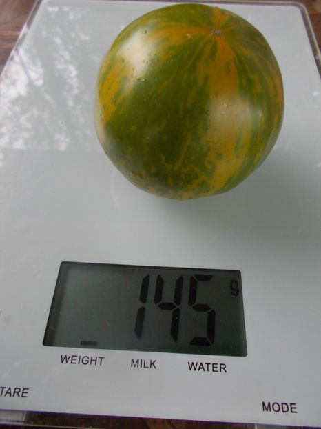  - SEMINTE ROSII - GREEN ZEBRA